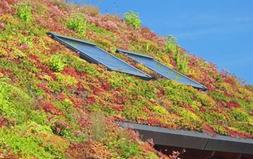 Brig O Turk living roof systems